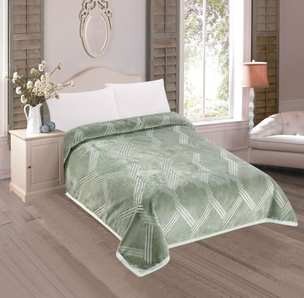 2128A - CA2025 / FRAZADA DE TERCIOPELO DOBLE CARA MODELO COREANO 6 KG (FARDO X 16 UNDS)