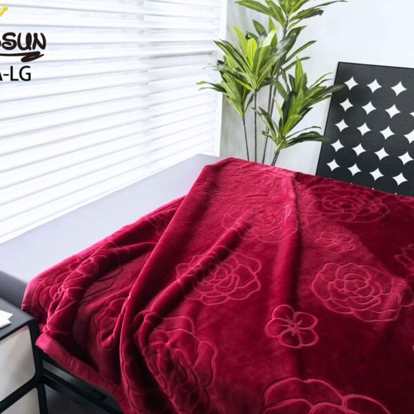 FRAZADA DE TERCIOPELO 1 PAÑO 4KG (FARDO X 24 UNDS)