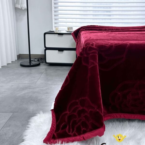 FRAZADA DE TERCIOPELO 1 PAÑO 4KG (FARDO X 24 UNDS)