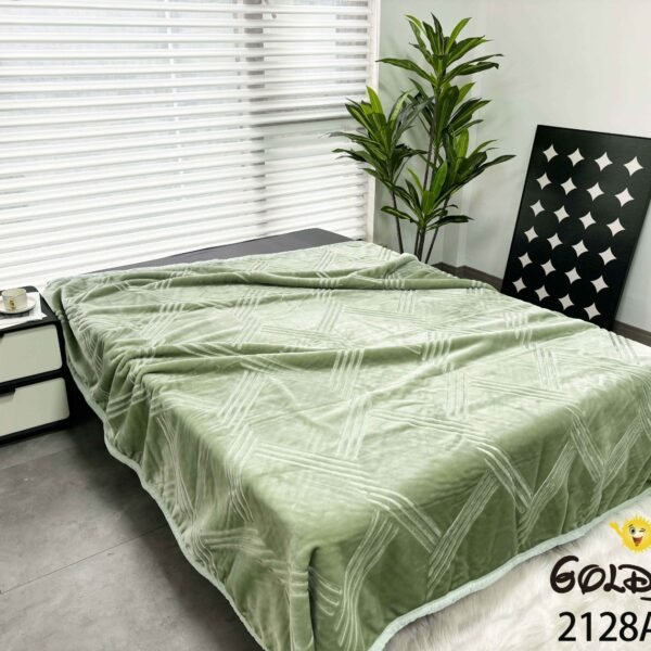 FRAZADA DE TERCIOPELO 1 PAÑO 4KG (FARDO X 24 UNDS)