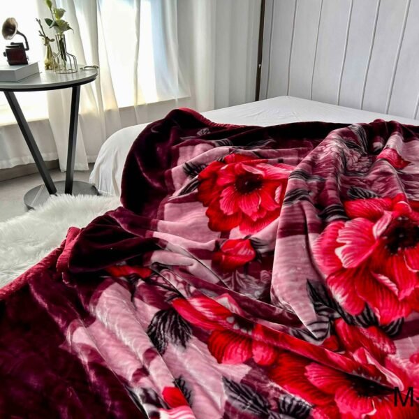 FRAZADA DE TERCIOPELO DOBLE CARA 2 PAÑOS 4 KG (FARDO X 26 UNDS)