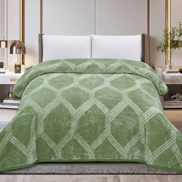 FRAZADA DE TERCIOPELO DOBLE CARA 1 PAÑO 6 KG (FARDO X 16 UNDS)