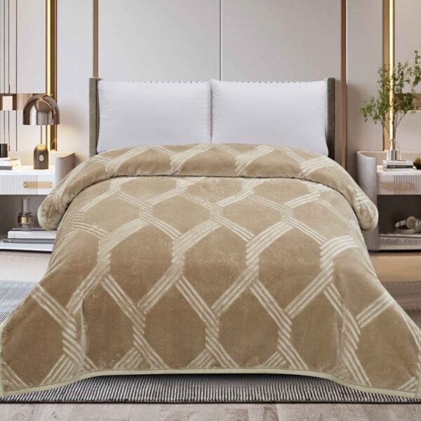 FRAZADA DE TERCIOPELO DOBLE CARA 1 PAÑO 6 KG (FARDO X 16 UNDS)