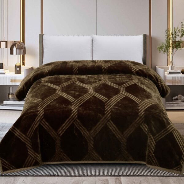 FRAZADA DE TERCIOPELO DOBLE CARA 1 PAÑO 6 KG (FARDO X 16 UNDS)