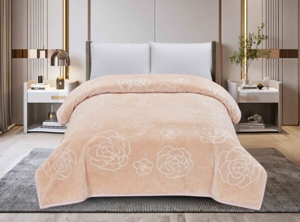 FRAZADA DE TERCIOPELO DOBLE CARA 1 PAÑO 6 KG (FARDO X 16 UNDS)