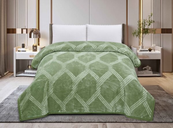 FRAZADA DE TERCIOPELO MODELO COREANO 1 PAÑO 6 KG COLOR ENTERO (CAJA X 9 UNDS)