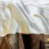 FRAZADA DE TERCIOPELO DOBLE CARA 1 PAÑO 4 KG (CAJA X 12 UNDS)