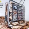 FRAZADA DE TERCIOPELO DOBLE CARA 1 PAÑO 4 KG (CAJA X 12 UNDS)